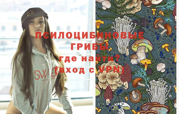 соль курить ск Верея