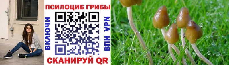 купить  цена  Бийск  Псилоцибиновые грибы мухоморы 