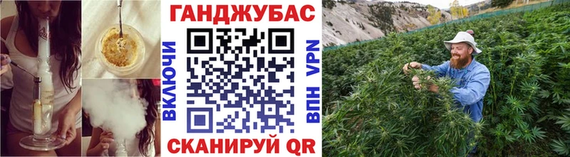 Бошки марихуана план  магазин продажи наркотиков  Бийск 